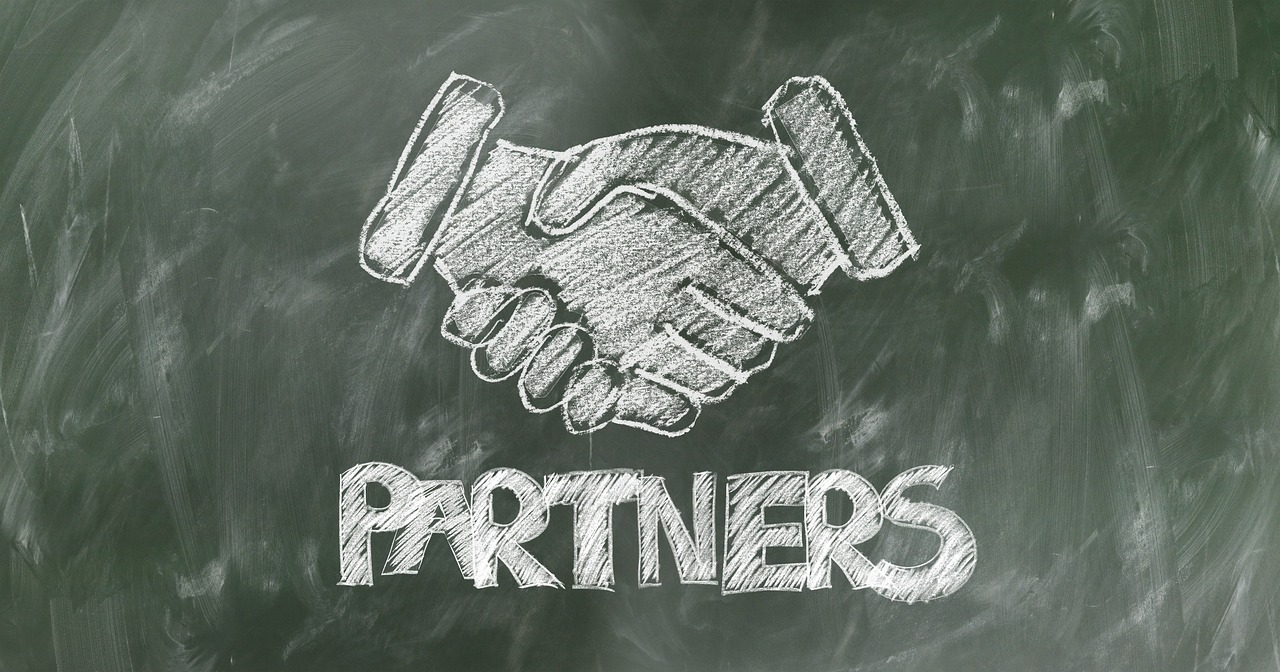 PARTNERZY PROJEKTU